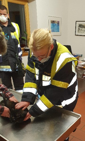 Wohnungsbrand (Bild 2)